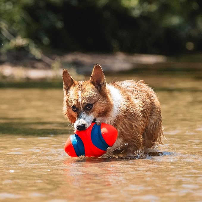 fumble fetch test