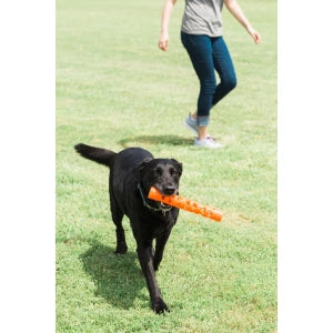 Chien avec un jouet Breathe Right Fetch Stick L