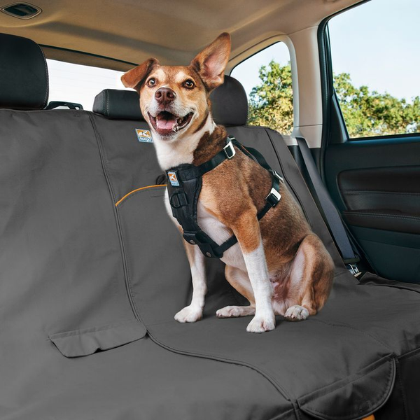 Siège de voiture pour chien, rehausseur pour petits chiens, chaton,  accessoires