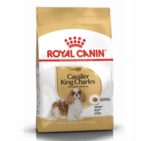 Cavalier King Charles Adult 3Kg
