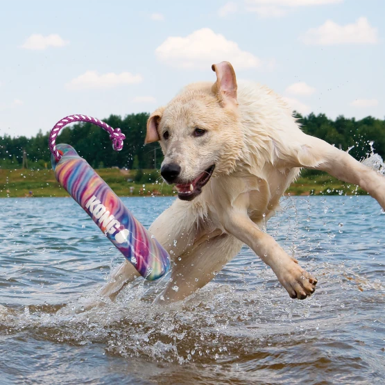 KONG® Wild Shield Trainnig Dummy Swirl