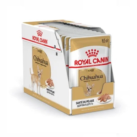 Chihuahua Adult Mousse 12x85G