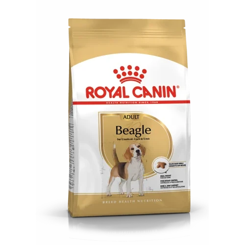 Beagle Adult Royal Canin