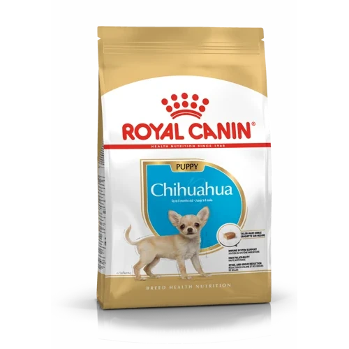 Chihuahua Puppy 1,5Kg