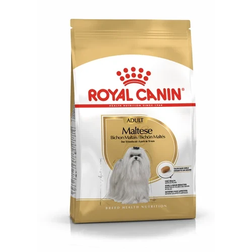 Bichon Maltais/Maltese Adult 1,5Kg