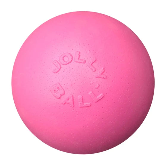 Jolly Ball Bounce-N-Play Rose