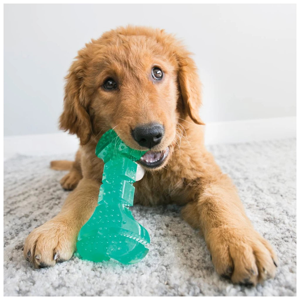 KONG® Squeez Dental Stick