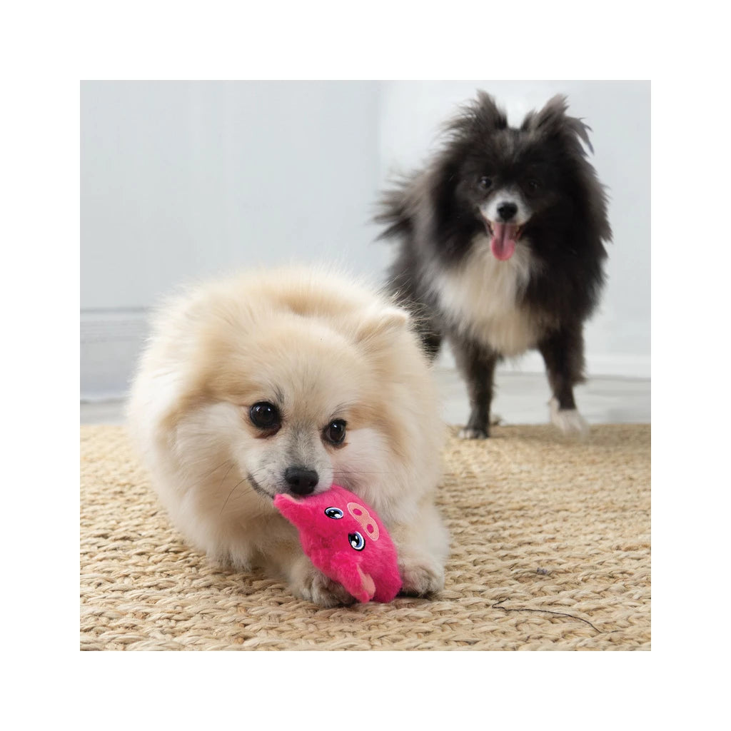 Kong Snuzzle Pig avec petit chien