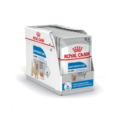 Light Weight Care All Size Mousse 12x85G