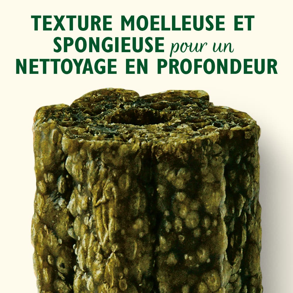 texture spongieuse woofbrush