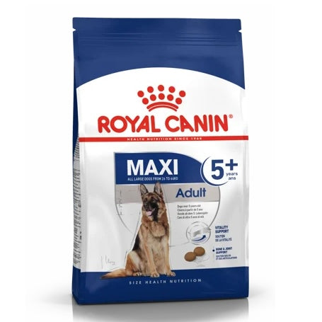 Maxi Adult 5+ 4Kg