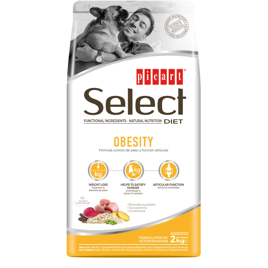 Select Obesity Picart