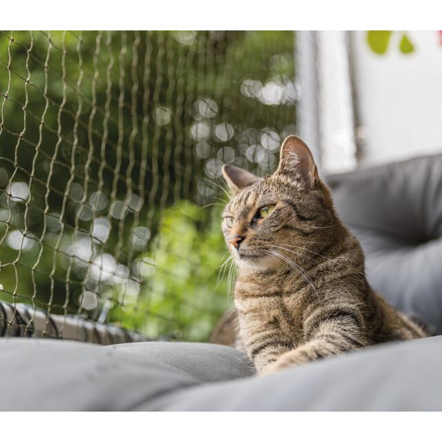 Filet de protection renforcé 2X1.5M