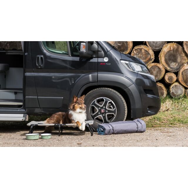 chien avec ses Gamelles en Email & Inox