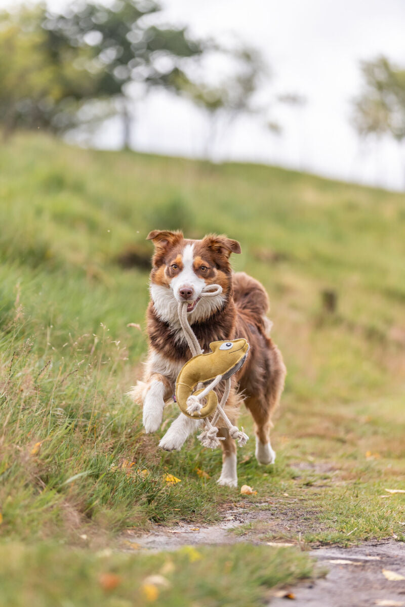 Jouet Caméléon en Cuir et Corde pour Chien