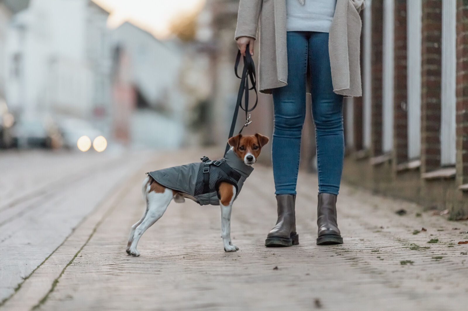 hien avec son Manteau Pontis Avec Harnais Intégré