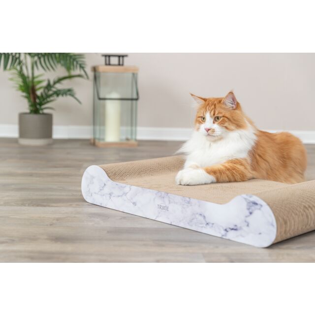 Chat avec son Griffoir Carton XXL