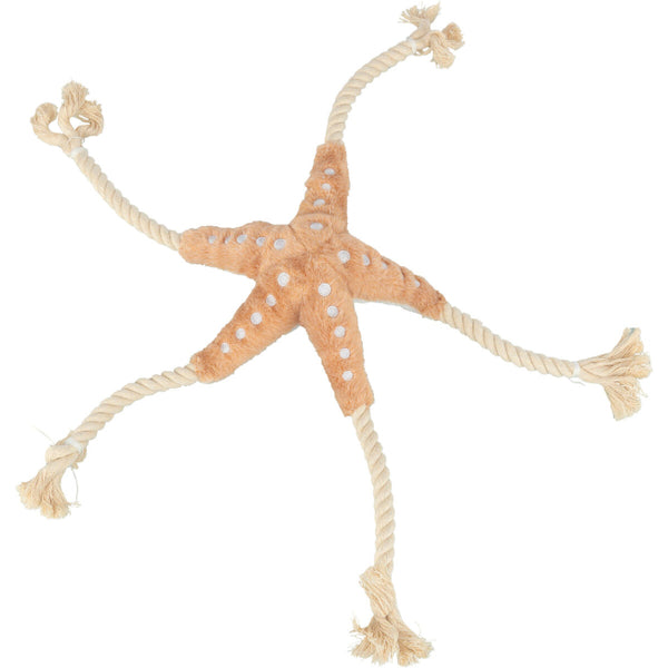 Etoile de Mer Jane