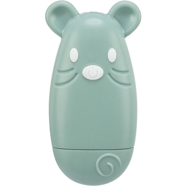 Pointeur Laser  USB