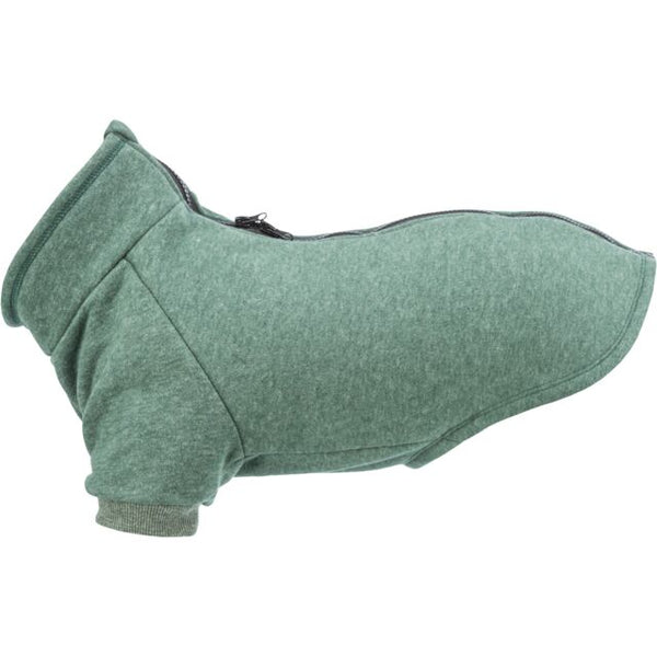 Sweat Amsterdam Vert pour Chien