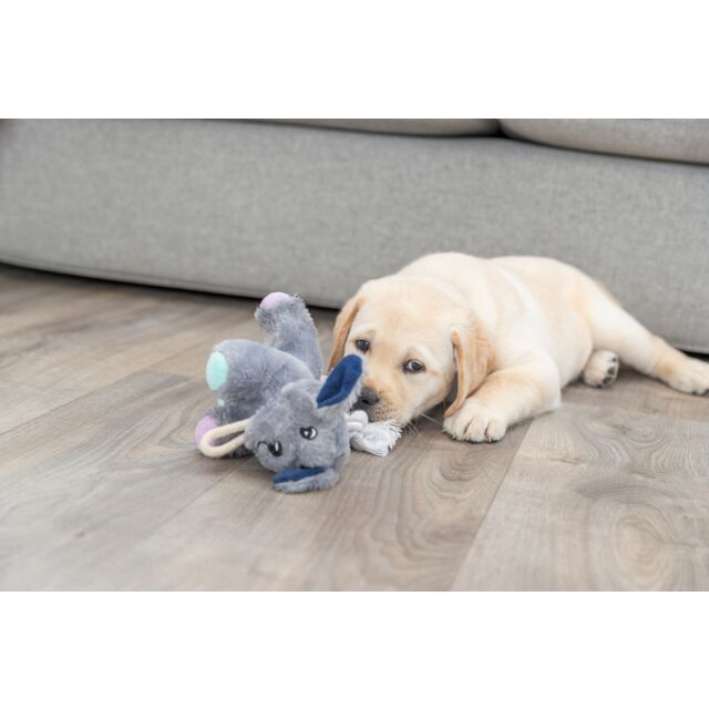 Chiot avec son Junior Chien Avec Corde, En Peluche