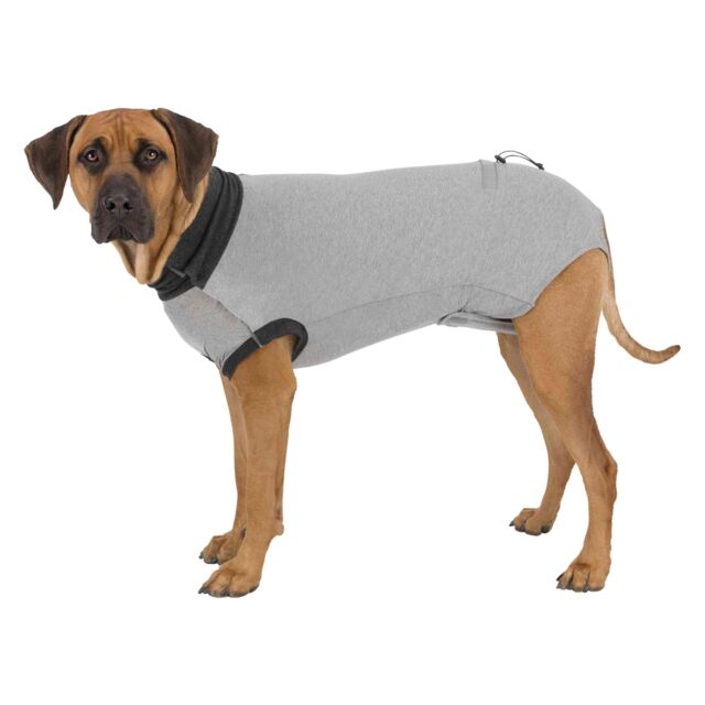 Body de Protection