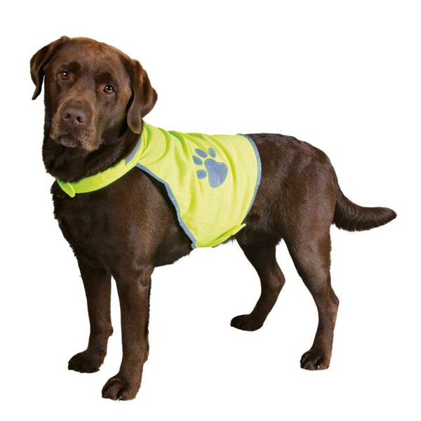 Gilet De Securite Pour Chiens sur un Labrador 