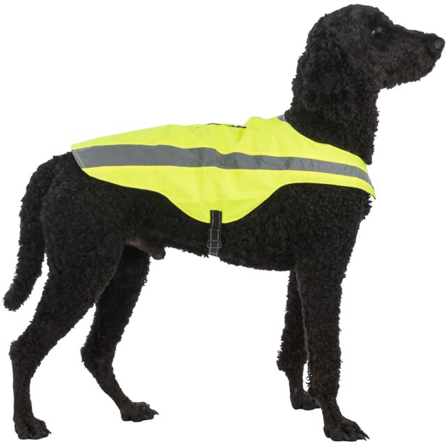 Gilet De Sécurité Fluo