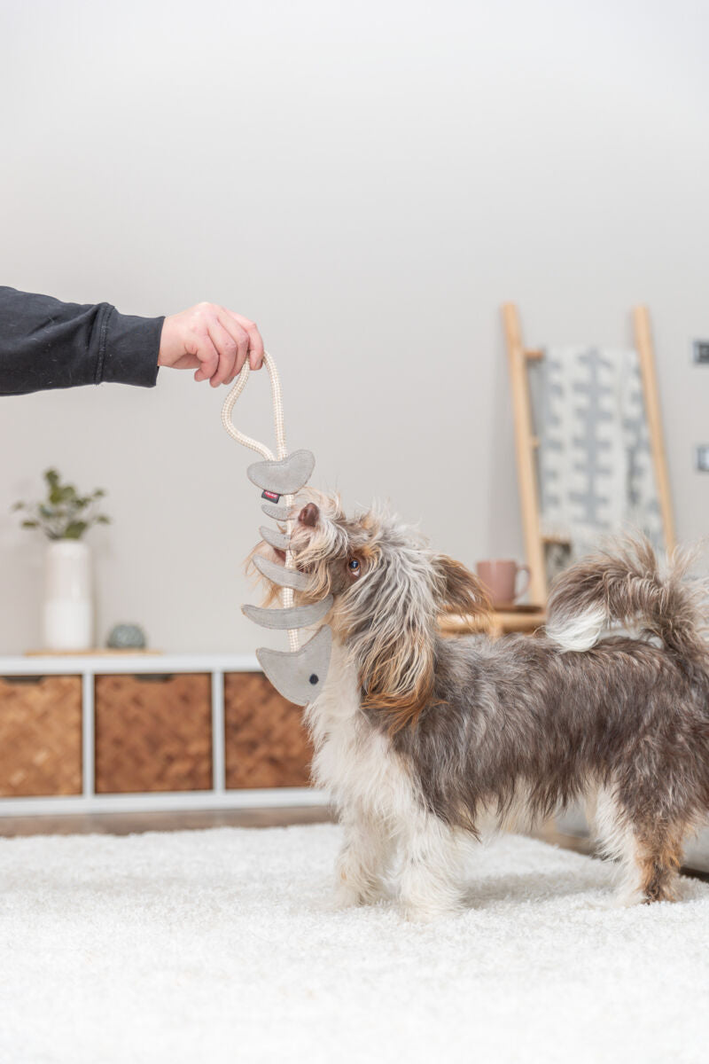 Jouet Arête de poisson en corde et cuir pour Chien