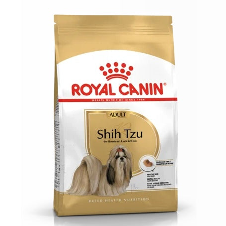 Shih Tzu Adult
