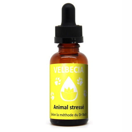 Stress Animal 30ml