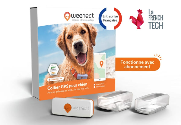 Weenect Xs Gps Chien