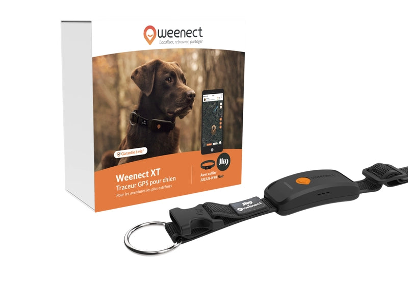 Weenect XT Gps Chien