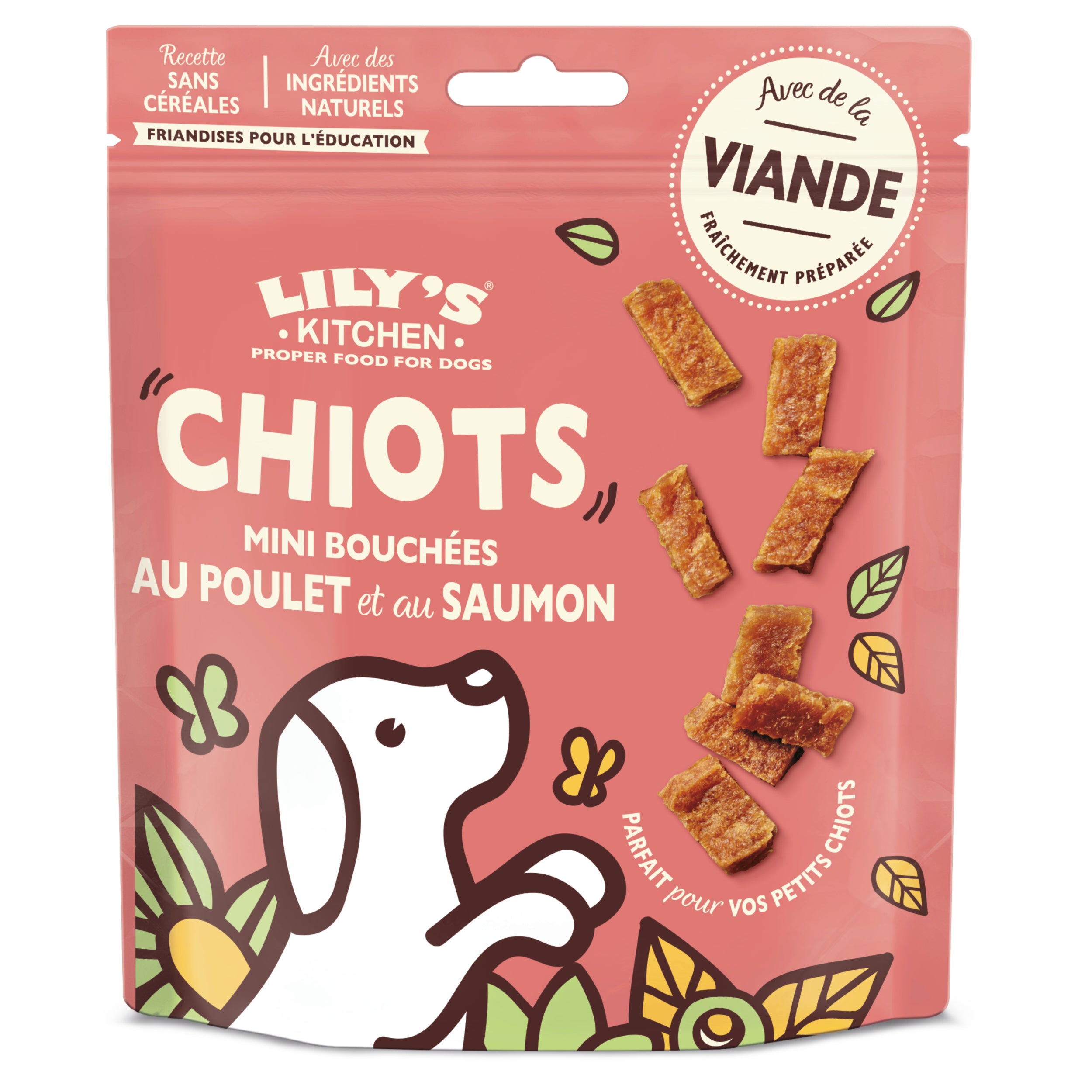 friandises pour chiot lily's kitchen