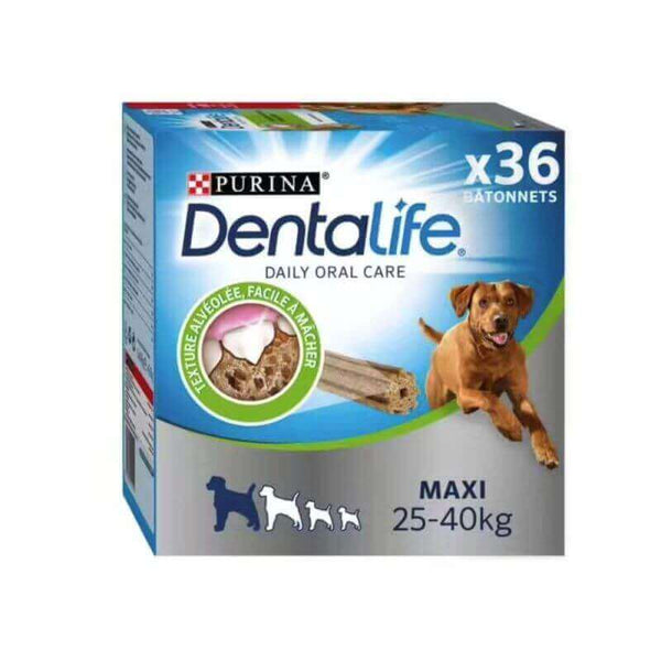 36 Bâtonnets à Mâcher pour Grand Chien
