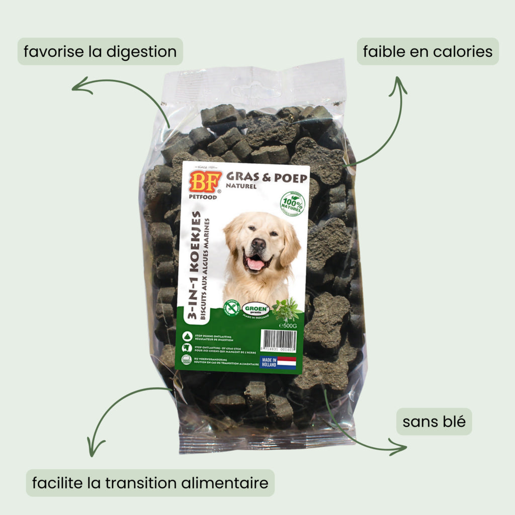 Biscuits aux algues marine pour grands chiens