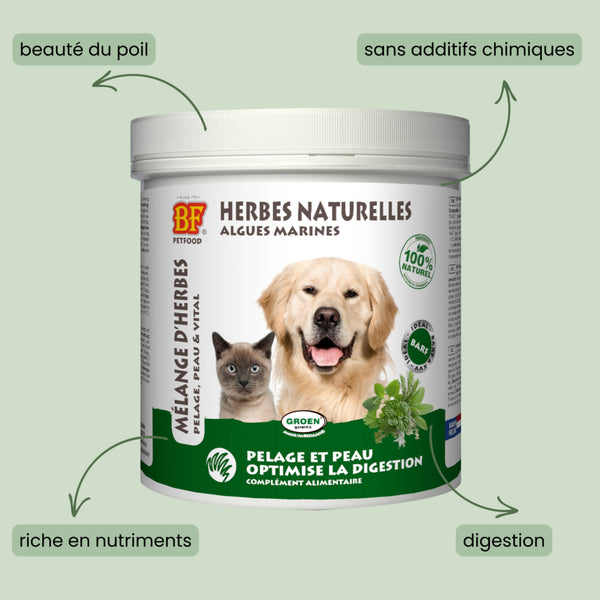 Melange d'herbes pour pelage et peau Chien et Chat BF PETFOOD