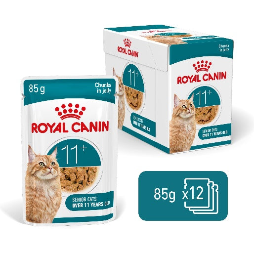 Ageing 11+ Gelée 85g Royal Canin pour Chat