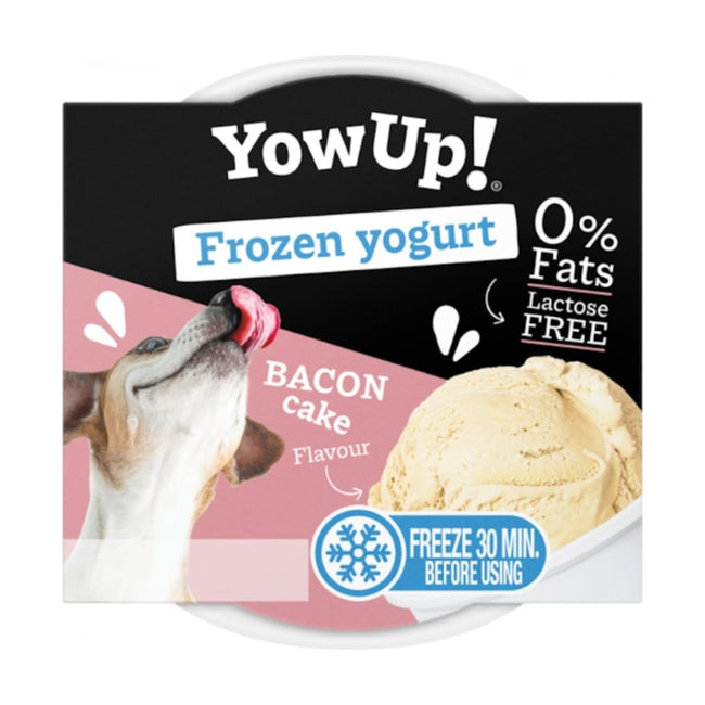Yow Up Glace pour Chien et Chat