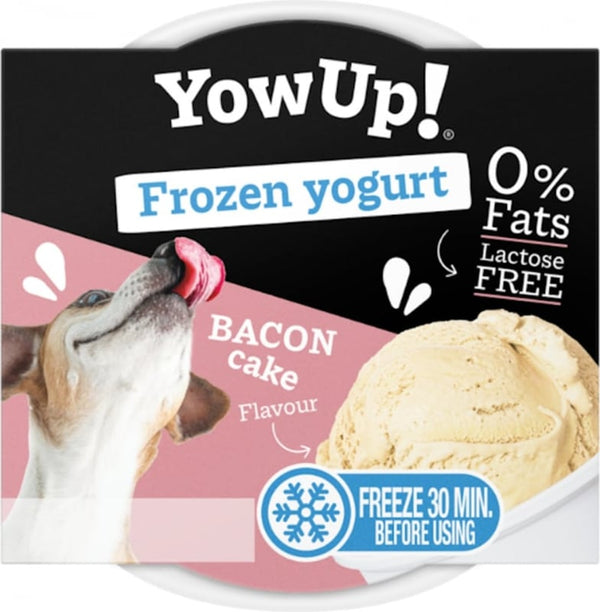 Yow Up Glace pour Chien et Chat