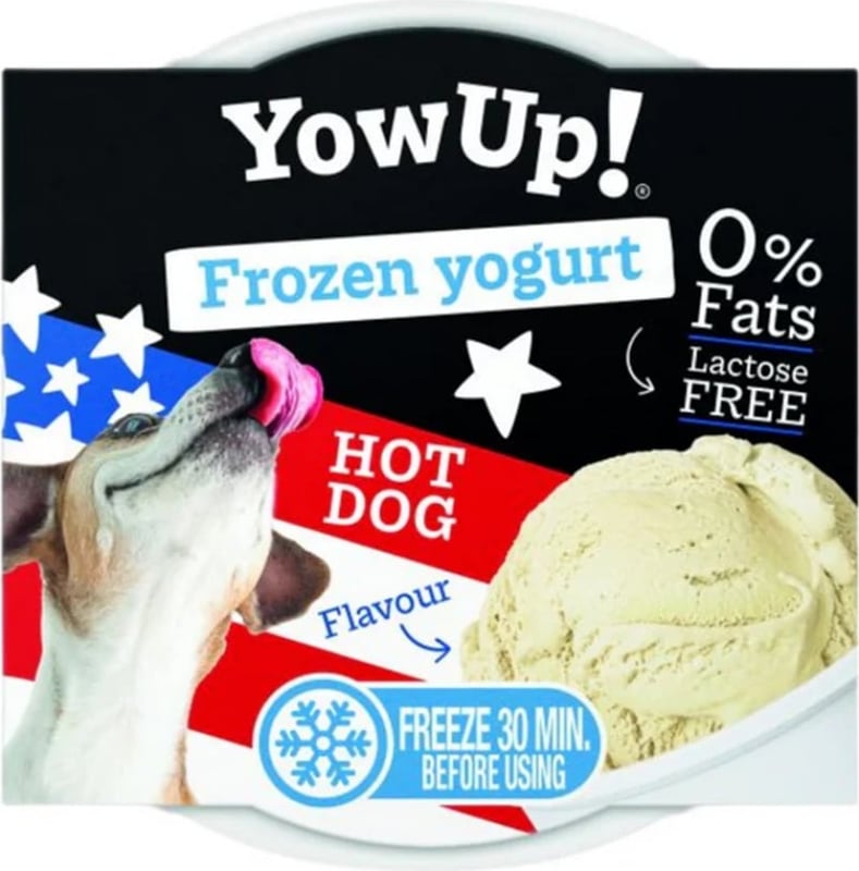 Yow Up Glace pour Chien et Chat