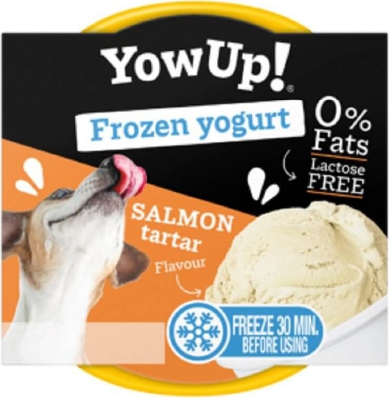 Yow Up Glace pour Chien et Chat