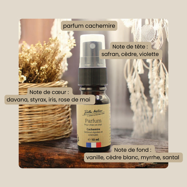 Parfum Cachemire pour Chien et Chat Bella Bestia