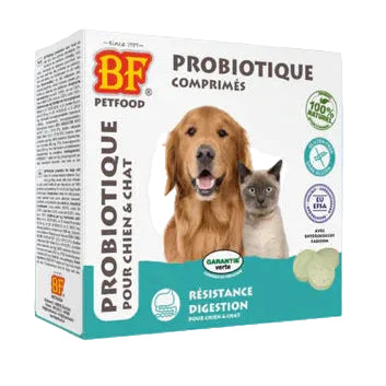 BF Comprimes Probiotique