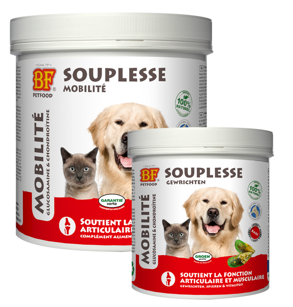 Complément pour la mobilité du Chien et Chat de BF PETFOOD