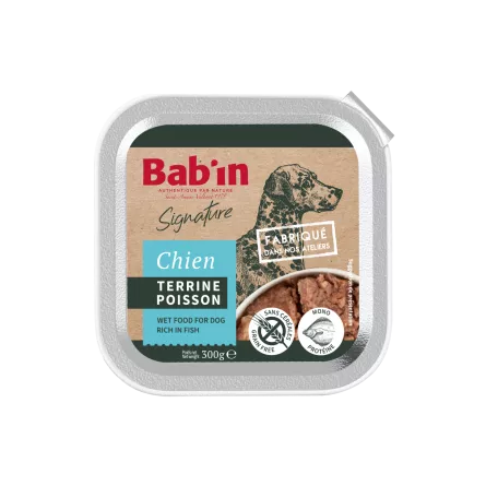 terrine au poisson