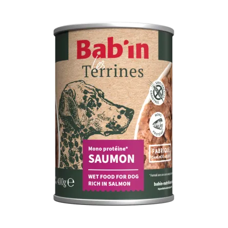 Terrine au Saumon pour Chien 400g Babin