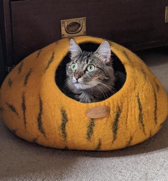 Cocon Pour Chat Bicolore