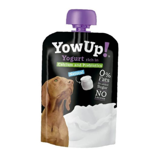 Yaourth Nature pour Chien Yow Up