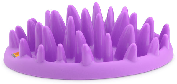 Gamelle Anti Glouton Catch